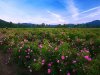 To 5 visiting places near Dhaka