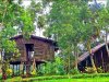 Visit around Dhaka at a low cost