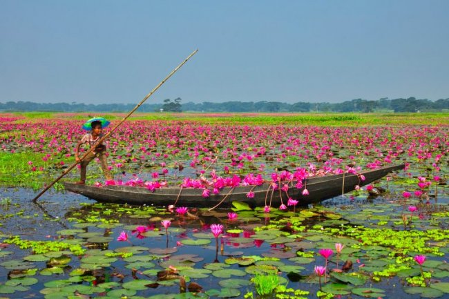 বাংলাদেশের দর্শনীয় স্থানগুলোর মাঝে উদাসী মন হারিয়ে যায় বারংবার
