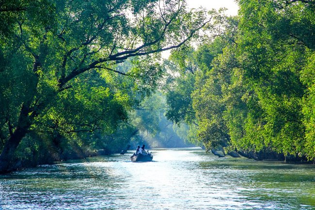 সারাদেশ থেকে খুলনা কীভাবে যাবেন?