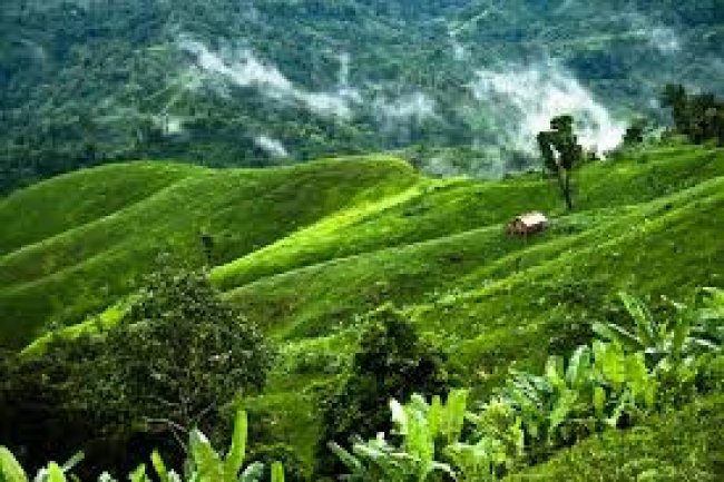 বান্দরবানের সকল দর্শনীয় স্থানসমূহের তালিকা
