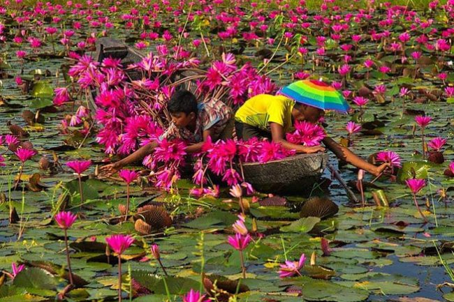 জেলা ভ্রমণ, বরিশাল :  কীর্তনখোলার তীরে সৌন্দর্যে-ঐতিহ্যে পূর্ণ জেলা