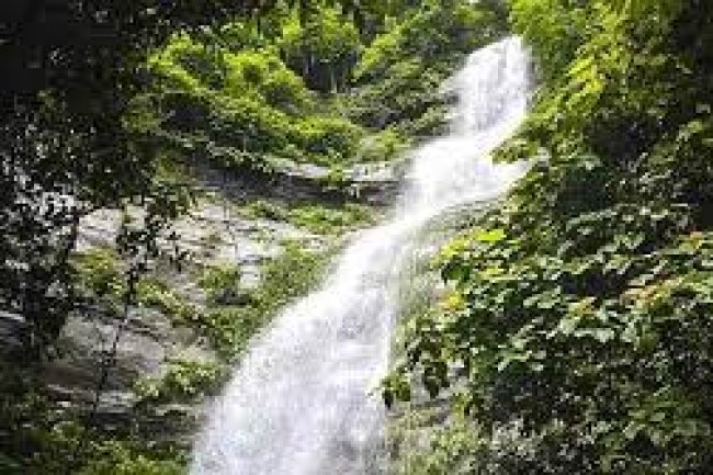পাহাড় আর ঘন গাছপালা মিলে ঘোর লাগা সৌন্দর্য সন্ধানে :  বড়ইতলী ঝর্ণায়
