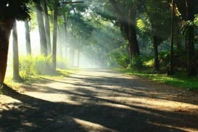 Winter season in the village of Bangladesh
