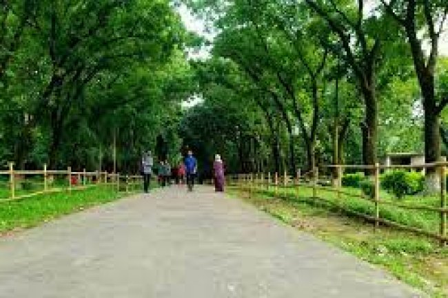 Botanical Garden- Acharya Jagadish Chandra Bose Indian Botanic Garden