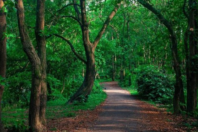 বাংলাদেশে যে ২৭টি স্থান অবশ্যই ঘুরে দেখবেন