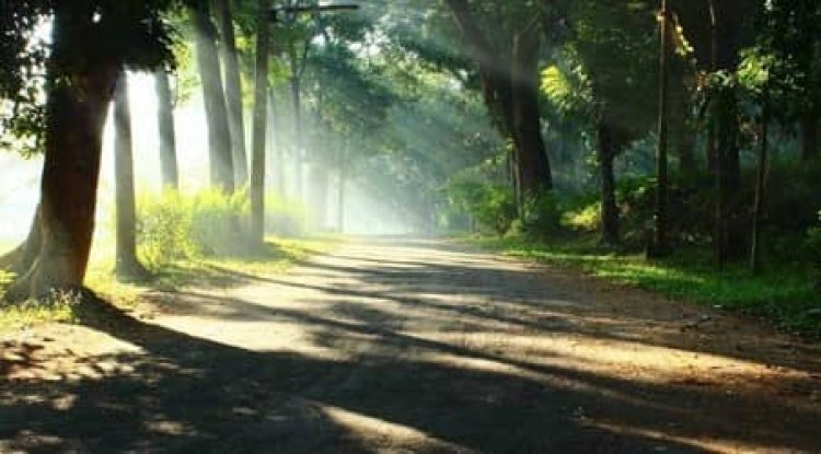 Winter season in the village of Bangladesh