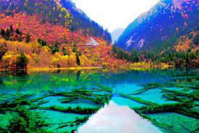 জিওজাইগো ভ্যালি : পৃথিবীর স্বর্গ
