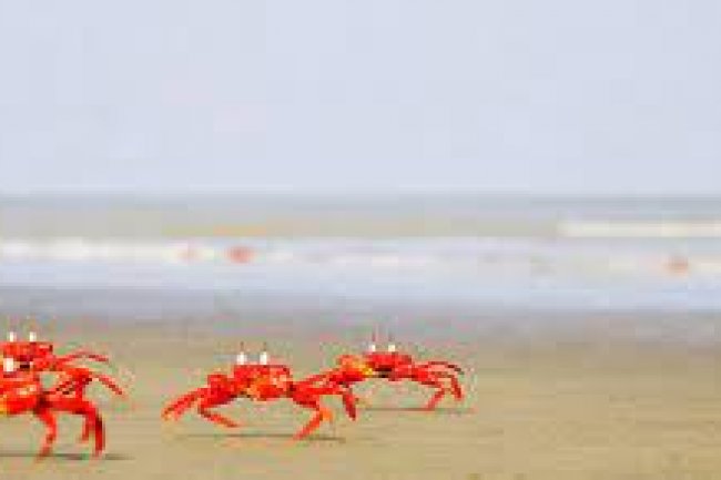 History of Cox's Bazar District