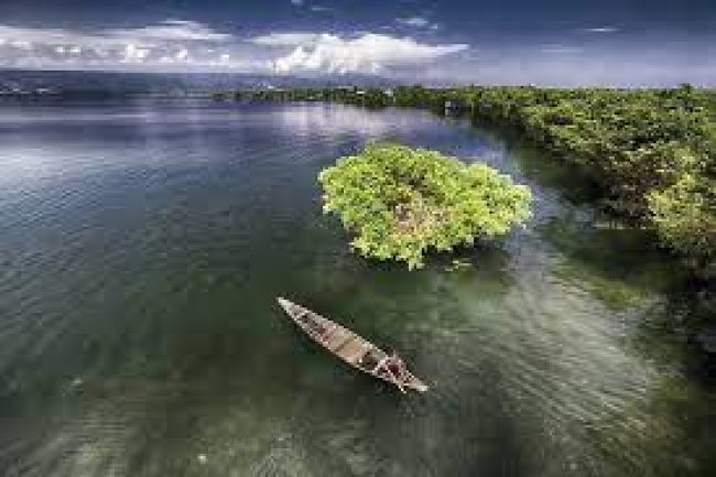 Budget Tour to Tanguar Haor